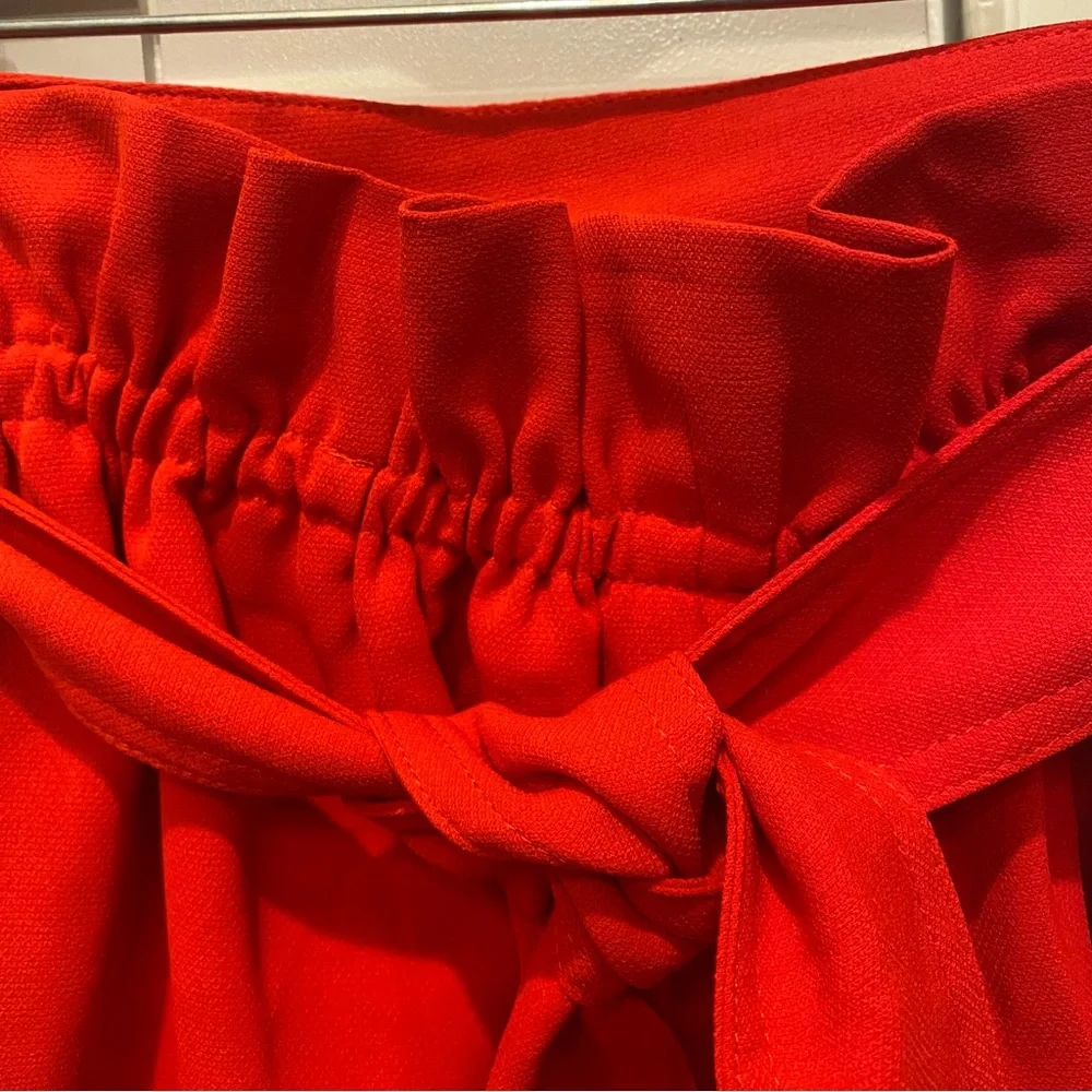 NWOT Blu Ivy Shorts